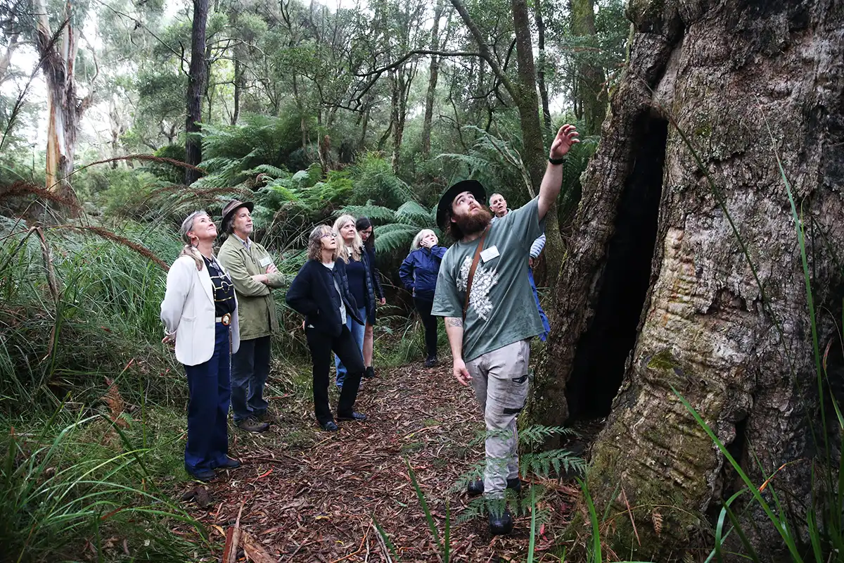 Walk on Country led by Hudson Fraser from Living Culture